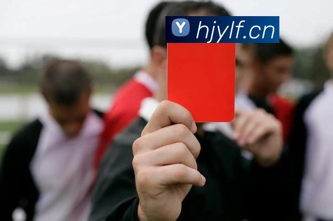 ayx.com官方版服务体系